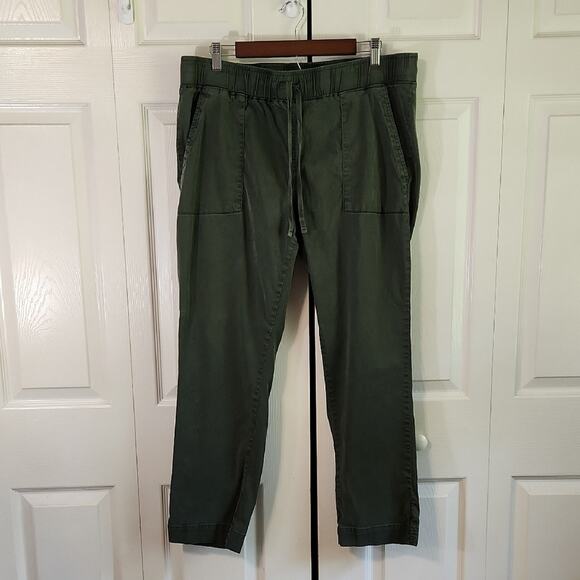 Buffalo David Bitton Green Pull On Pants Size LG Elastic Waist Gorpcore Granola - Picture 1 of 10